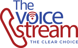 The Voice Stream 1 (1)